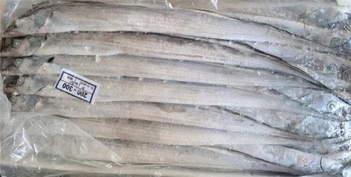 天津一批凍豬肘檢出新冠陽性事件 緊急通報(bào)與防控反思