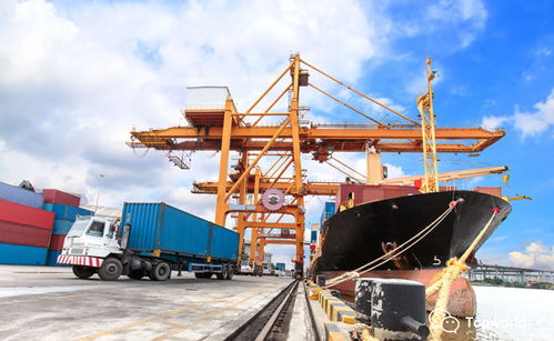 船東提單與貨代提單 核心區(qū)別與貨運(yùn)代理的關(guān)鍵角色